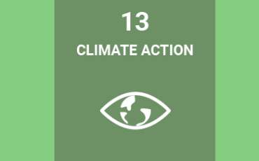Climate Action & Disaster Resilience